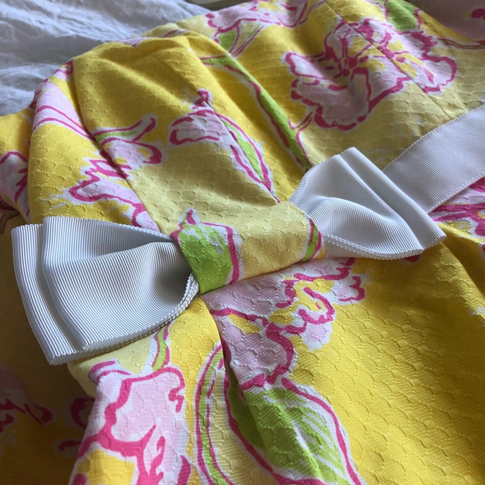 Lilly Pulitzer Amberly Dress